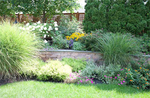 a landscape created by our Sugar Land TX experts