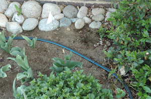  a drip line installed by our techs