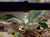 a drip irrigation system close-up