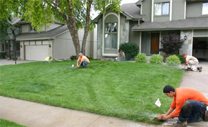 our Sugar Land sprinkler repair team are fixing a couple of sprinkler heads